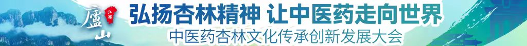 日日老骚逼中医药杏林文化传承创新发展大会